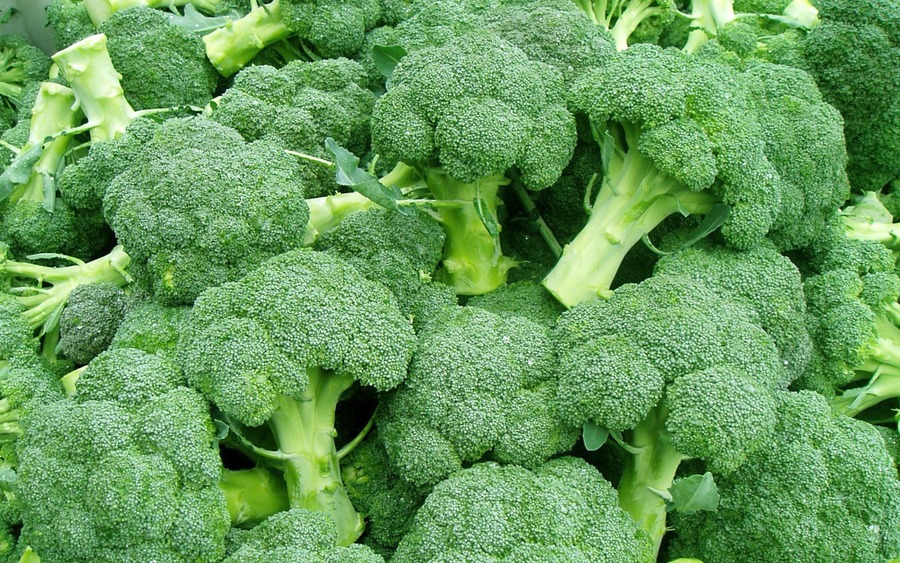 Broccoli KSP 5412 Destiny