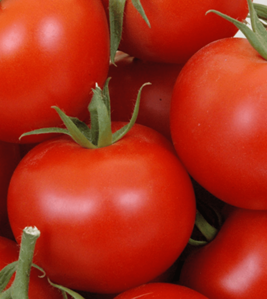 KSP 1006 Red Gold/Yuvraj