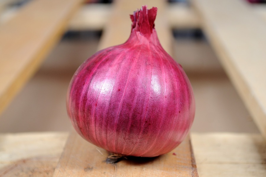 KSP 1118 Super Flare F1