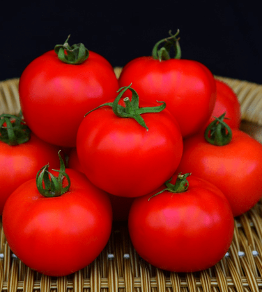 KSP 1724 F1 PRAGATHI