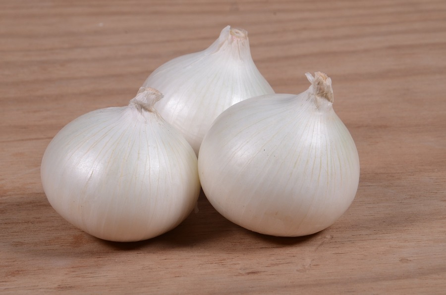 KSP 90 Drona (White)